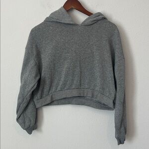 Heart Hips Gray Crop Hoodie